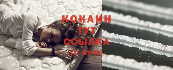 шишки Пролетарск