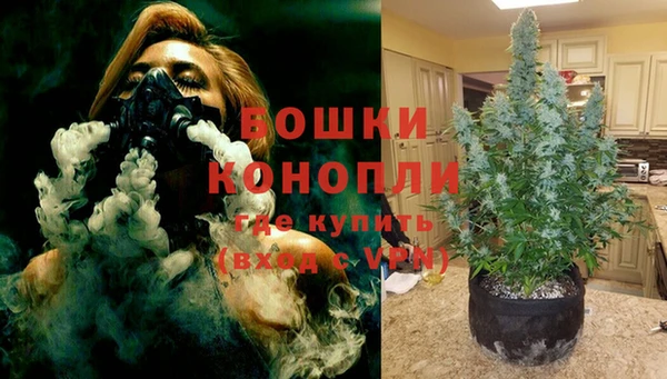 шишки Пролетарск