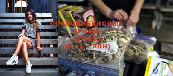 шишки Пролетарск