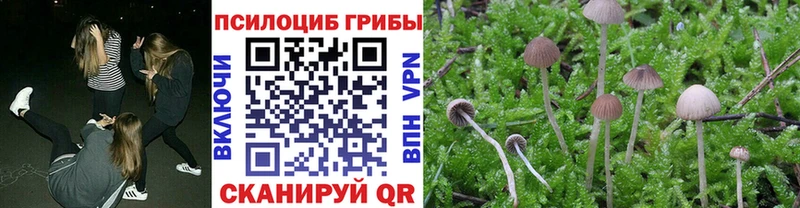 Галлюциногенные грибы Magic Shrooms  Галич 